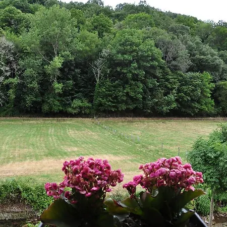 Guest house Casa Polin 2*