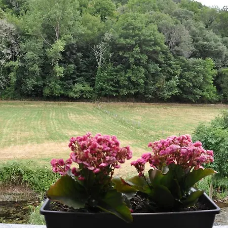 בית הארחה Casa Polin 3*