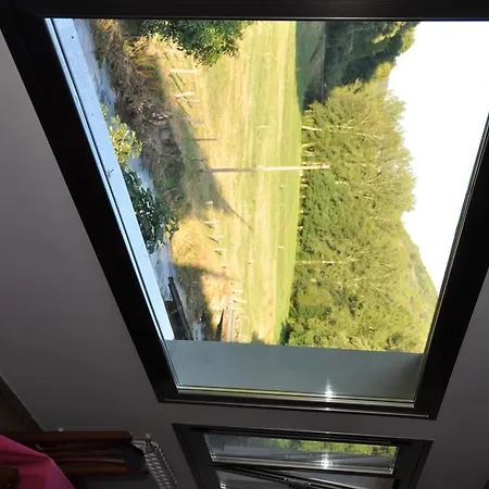 Guest house Casa Polin 3*