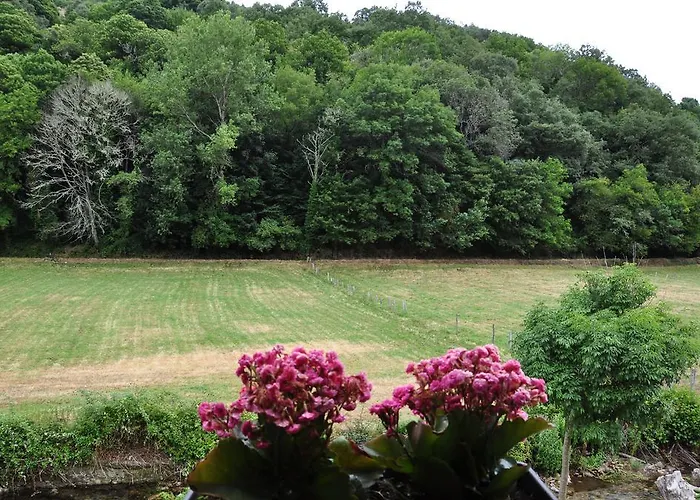 Guest house Casa Polin 3*